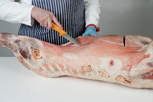 Breast – Square cut Meat Cut Spec Step 2